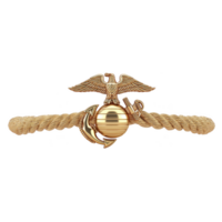 Gold emblem featuring eagle perched on globe with anchor, symbolizing maritime strength and honor. design includes rope detail, adding nautical touch png