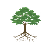 Detailed illustration of tree with green leaves and visible roots, symbolizing growth and stability. tree is depicted on plain background, emphasizing its intricate design png