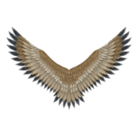 Pair of detailed, symmetrical bird wings with brown and gray feathers spread wide, showcasing intricate patterns and textures. wings convey sense of freedom and grace png