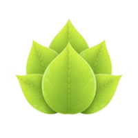 Vibrant green leaf design forms symmetrical pattern, resembling lotus flower. glossy texture and detailed veins create fresh and natural appearance, symbolizing growth and renewal png