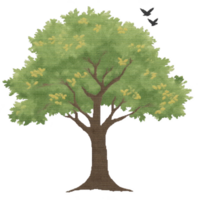 Lush green tree with sturdy brown trunk stands tall, its branches spreading wide. Yellow leaves are scattered among green foliage, and two butterflies flutter nearby png