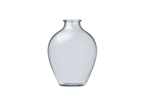 een Doorzichtig glas vaas met gemakkelijk, elegant ontwerp is weergegeven tegen duidelijk achtergrond, markeren haar glad curves en transparantie. perfect voor minimalistische decor png