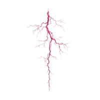Vibrant, intricate red lightning bolt with branching patterns on transparency background, resembling natural electrical discharge. striking design evokes sense of power and energy png