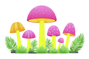 Colorful mushrooms with pink and orange caps and yellow stems surrounded by green ferns and grass, creating whimsical and vibrant scene png