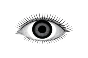 Detailed black and white illustration of human eye with intricate line work and shading, showcasing iris and eyelashes. design is artistic and abstract, emphasizing texture and form png