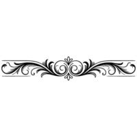 Elegant Floral Scroll Ornament in Black and White on White Background vector