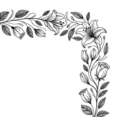 Elegant Floral Corner Border, Handdrawn Line Art, White Background