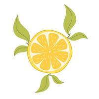 Round lemon slice with green branches and leaves. Citrus icon. Illustration in flat style on white background. vector
