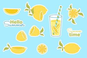 Set of citrus stickers. Lemon, lemon slices, lemonade. Summer illustration in flat style. vector