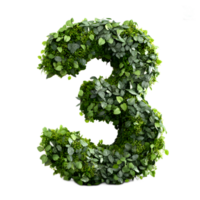 The number 3 is crafted from a lush verdant display of thriving organic plant life creating a visually striking and nature inspired numerical design png