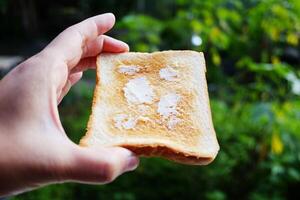 Close up hand holding buttered toast is breakfast in the morning on green natural background photo