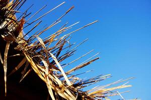 Close up eaves of a dry thatched roof of tradition house with sunny and blue sky in Thailand photo
