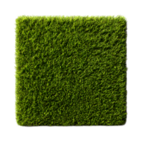 Overhead perspective showcasing a lush well maintained lawn with a uniform vibrant green appearance and a precisely trimmed texture png