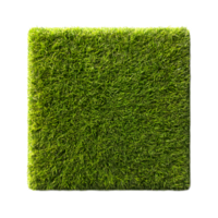 An overhead close up view of a neatly manicured lush green lawn with a uniform carpet like texture and a clean geometric appearance png