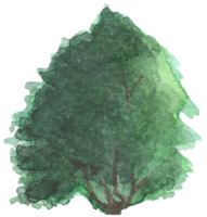 Tree with thick round branches is painted by hands with watercolor in real fine art style png