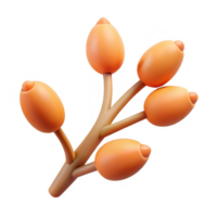 Orange berries on branch clipart isolated on transparent background png