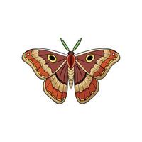 Illustration of isolated colorful moth with symmetric wing pattern vector