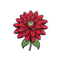 Isolated red dahlia flower illustration on a white background vector