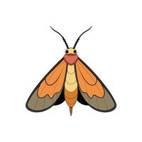 Graphic Illustration of a Colorful Moth on White Background vector