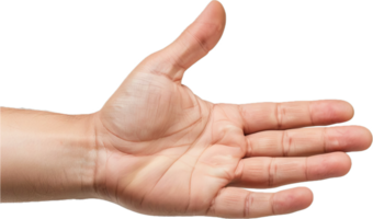 Open hand gesture with palm facing upward in natural setting png