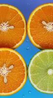Vibrant Citrus Slice Arrangement with Seeds and Juice Droplets photo