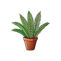 Cartoon style fern in pot houseplant isolated on white vector