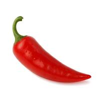 Red Chili on white background photo