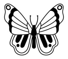 Black and white drawing of a butterfly opening its wings, showing its beautiful patterns and antennae, perfect for nature and insect lovers vector