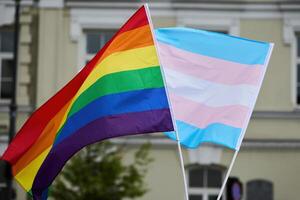 Pride Flags Displayed. A colorful display of rainbow and transgender pride flags photo