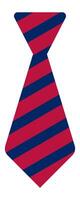 Red and blue striped tie embodying formality and style, highlighting attention to detail while conveying sophistication and classic menswear appeal in professional settings vector