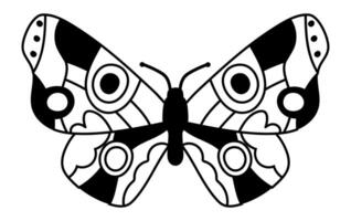 Black and white butterfly with large eyes and intricately patterned wings displays its captivating beauty, appealing to nature enthusiasts and serving as inspiration for tattoo designs vector