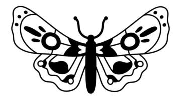 Black and white butterfly spreading its patterned wings, perfect for nature lovers and tattoo enthusiasts, showcasing detailed linework and intricate patterns vector