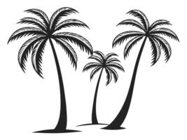 illustration of three black palm trees on a white background perfect for design vector