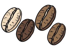 Four coffee beans with varying roast levels in cartoon style on white background vector