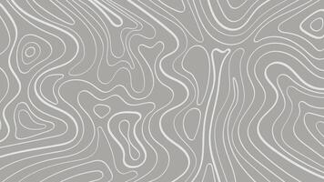 White Topographic Contour Lines on Soft Gray Background vector