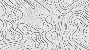 Abstract Topographic Contour Lines on Elegant Gray Background vector