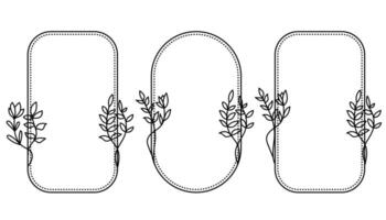 Botanical Frame Hand-Drawn Botanical Collection vector