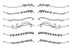 Botanical line divider for text layout separator decoration vector