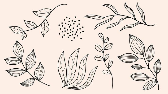 Nature botanical leaves line art drawing set illustration