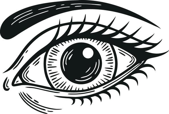 Engraved Eye Illustration Detailed Vintage Style Drawing Art