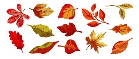 Autumn leaves in abstract style drawn by hand. Bright autumn leaf fall. vector
