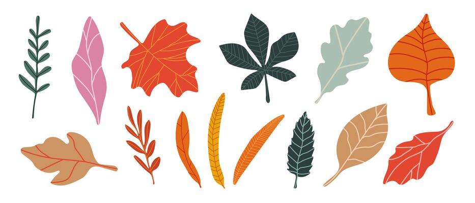 Autumn leaves, set. Different autumn leaves, leaf fall.