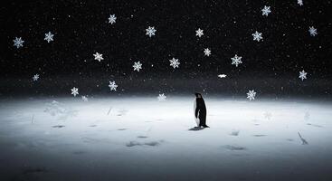 Solitary Penguin in a Snowstorm photo