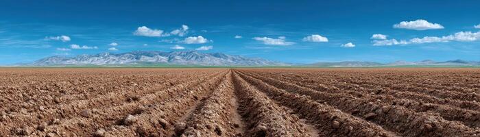 Cultivated landscape serenity open farmland aerial view of soft furrows and pale earth photo