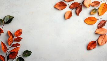 Fallen autumn leaves on light textured background nature still life warm colors low-resolution photo