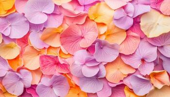 Floral pattern with pastel petals on color background copy space for design aesthetic view photo