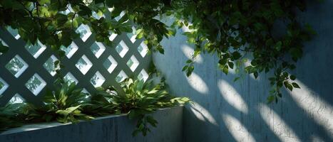 Sunlight filtering through foliage onto geometric wall nature scene indoor environment serene view photo