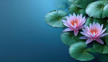 Serene lotus leaves floating on water peaceful tones nature scene calm environment photo