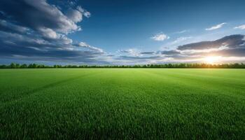 Lush green lawn with soft sunlight filtering through clouds tranquil landscape nature scene photo