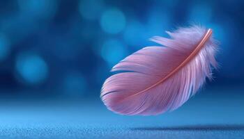 Feather in midair perfect lighting macro photography still environment close-up view ethereal beauty photo